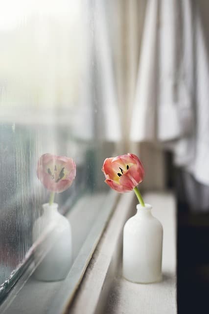 Soft still life of flowers in warm morning light